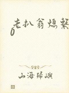 老扒翁熄系列40