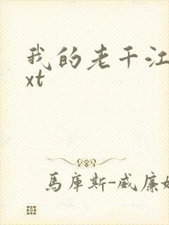 我的老千江湖txt