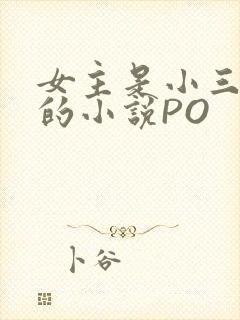 女主是小三很婊的小说PO