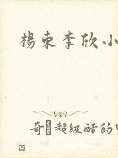 杨东李欣小说