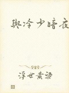与冷少暗夜孽爱