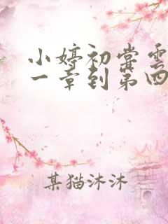 小婷初尝云雨第一章到第四章