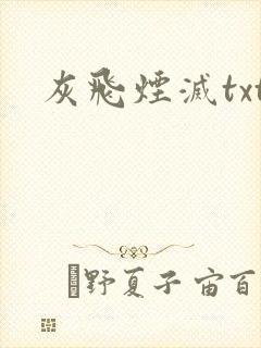 灰飞烟灭txt