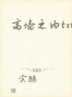 高墙之内txt