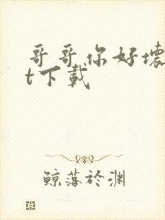 哥哥你好坏txt下载