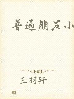 普通朋友小说