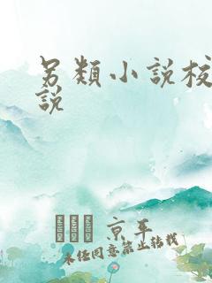 另类小说校园小说