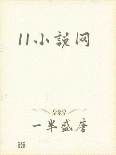 11小说网