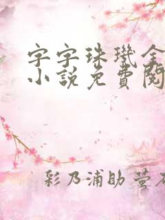 字字珠玑金银花小说免费阅读