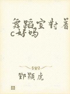 舞蹈室对着镜子c好吗