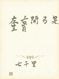 左右开弓是什么生肖