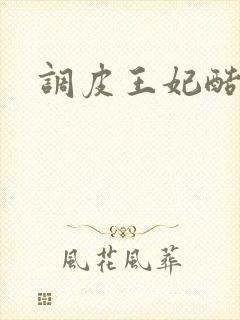 调皮王妃酷王爷