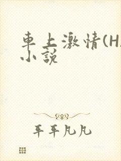 车上激情(H)小说