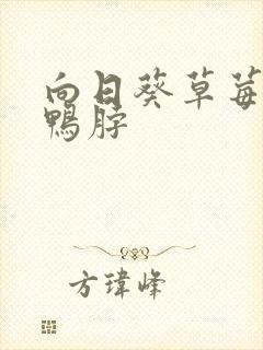 向日葵草莓丝瓜鸭脖