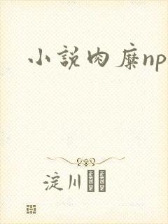 小说肉糜np