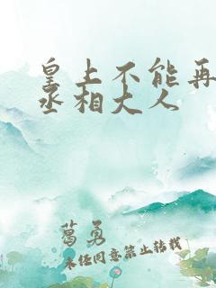 皇上不能再进了丞相大人