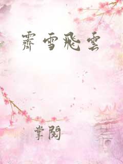 霁雪飞云