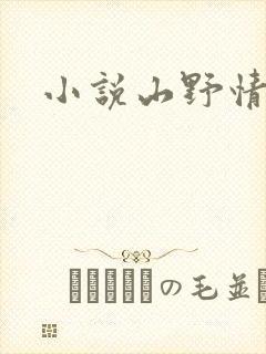 小说山野情债