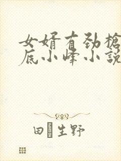 女婿有劲枪枪到底小峰小说