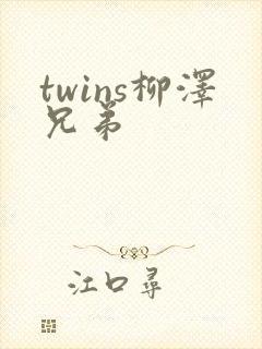 twins柳泽兄弟