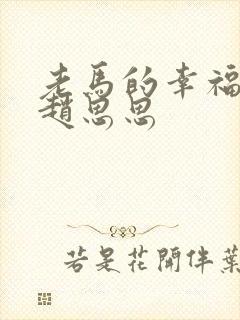 老马的幸福生活赵思思