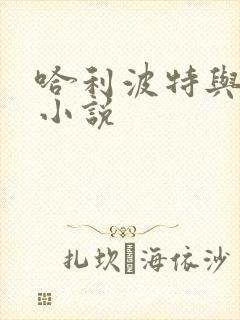 哈利波特与密室小说