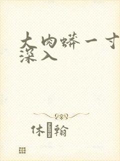 大肉蟒一寸寸地深入