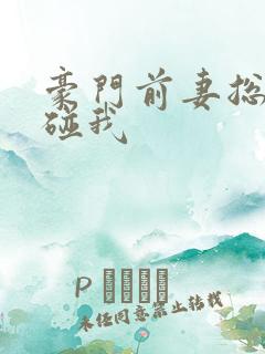 豪门前妻总裁别碰我