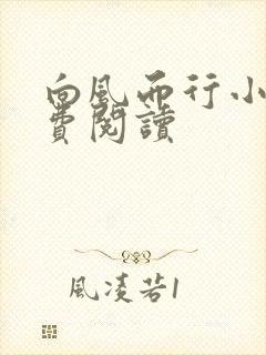 向风而行小说免费阅读