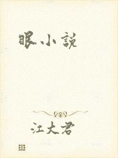 眼小说