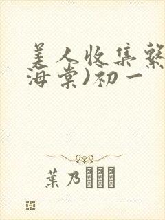 美人收集系统(海棠)初一