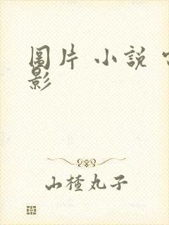 图片 小说 电影