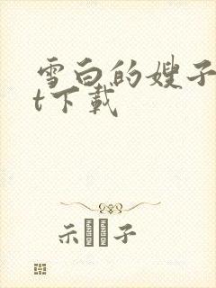 雪白的嫂子txt下载