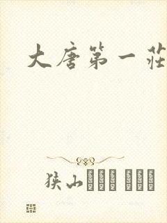 大唐第一庄