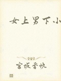 女上男下小说