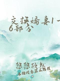 交换娇妻1一36部分