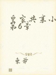 皇家共享小公主第6章