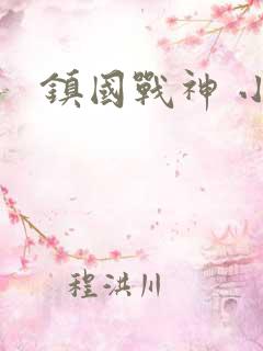 镇国战神 小说