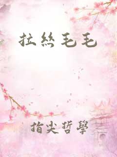 拉丝毛毛