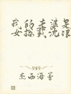 我的老婆是冰山女总载沈浪