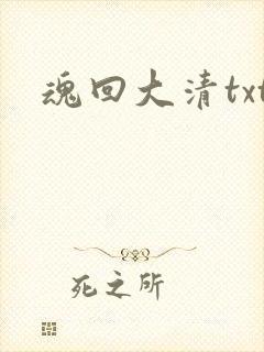 魂回大清txt