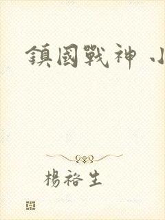 镇国战神 小说