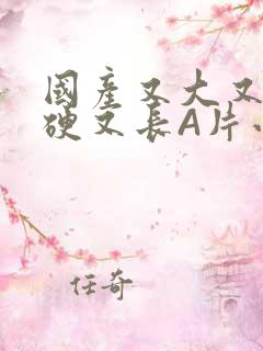 国产又大又粗又硬又长A片小说