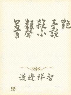 另类杀手艳福星有声小说