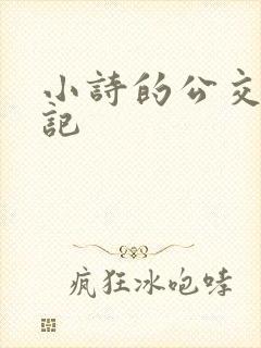 小诗的公交车日记