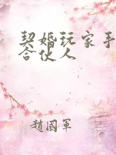 契婚玩家手册之合伙人