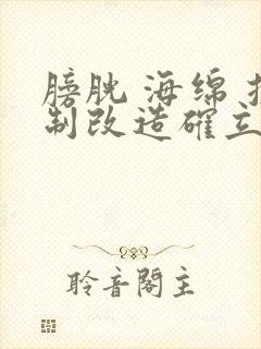 膀胱 海绵 控制改造确立m