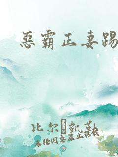 恶霸正妻踢娇妾