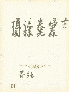 顶流夫妇有点甜图样先森