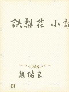 铁梨花 小说